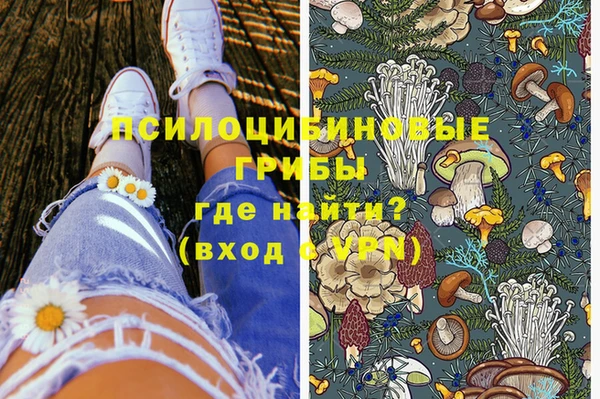 бутират Осинники