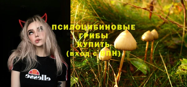 прущая мука Осташков