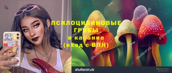 прущая мука Осташков