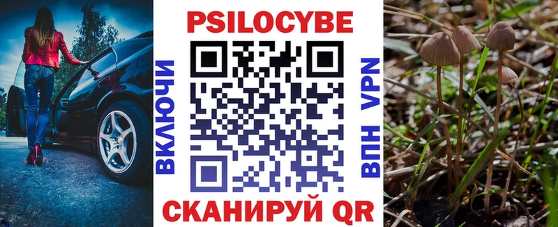 Галлюциногенные грибы Psilocybine cubensis Орлов