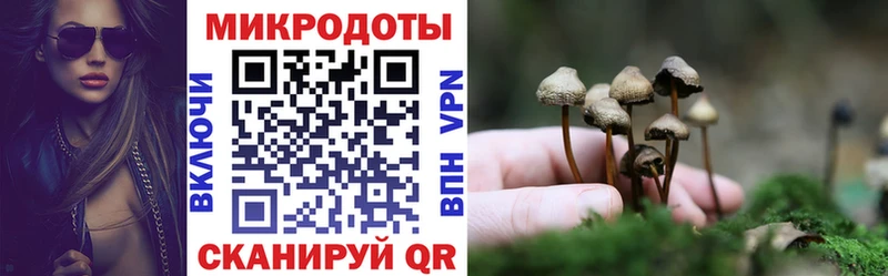 Псилоцибиновые грибы GOLDEN TEACHER  Орлов 